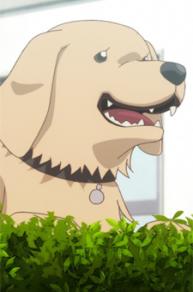 Tarou