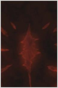 Rekidai Maou