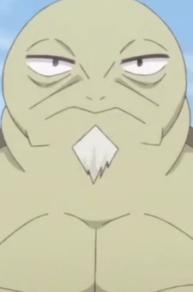 Turtle